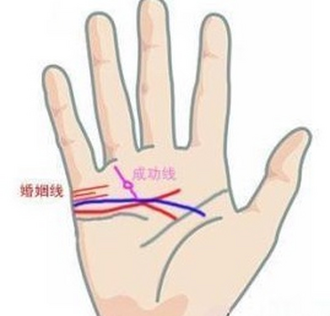 婚姻运势 婚姻运势