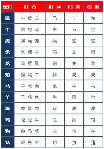 特别适合住18层的属相