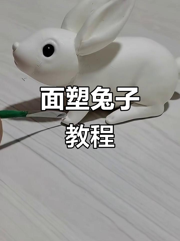 专业属相教程