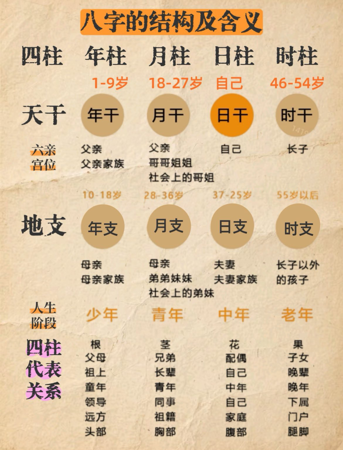 八字排盘详解神巴巴