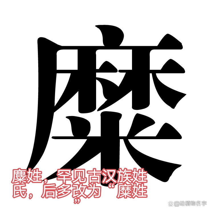 动物姓氏的排序表 动物姓氏的排序表