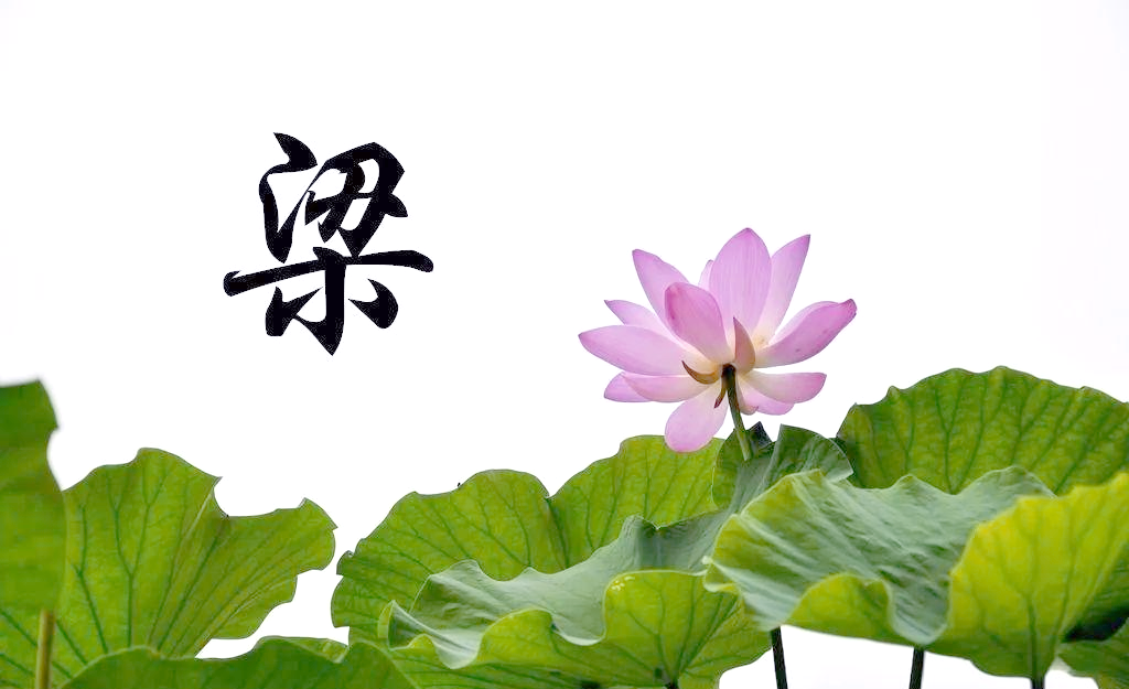 梁梁这个名字好吗
