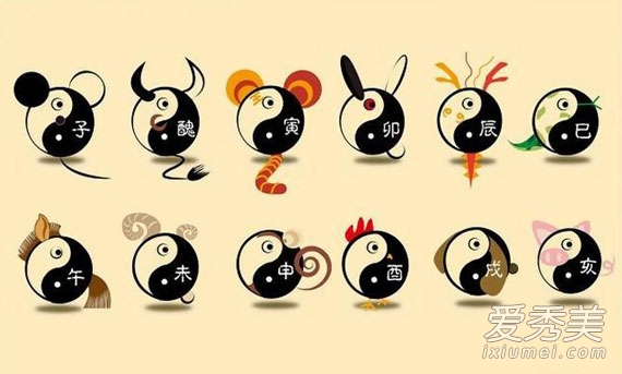 APP属相