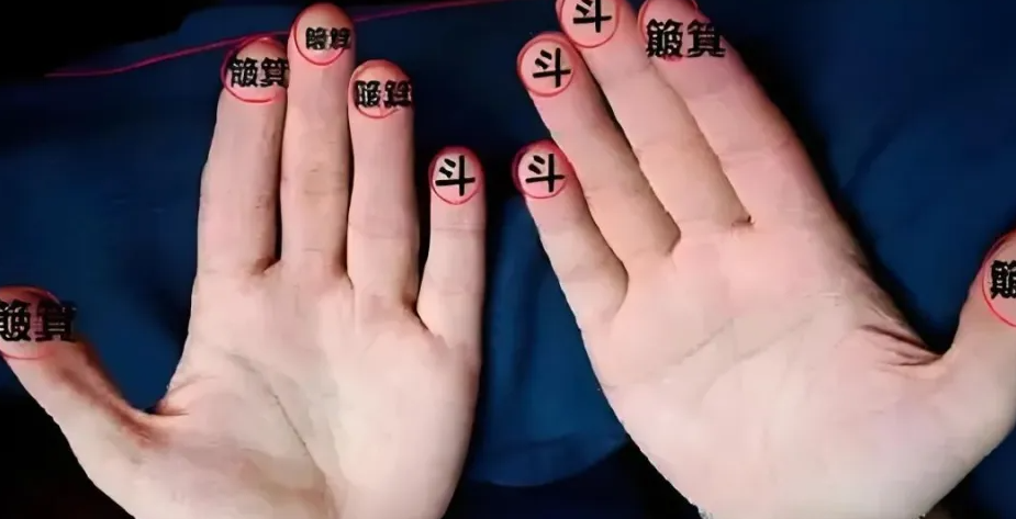 专业运程指南