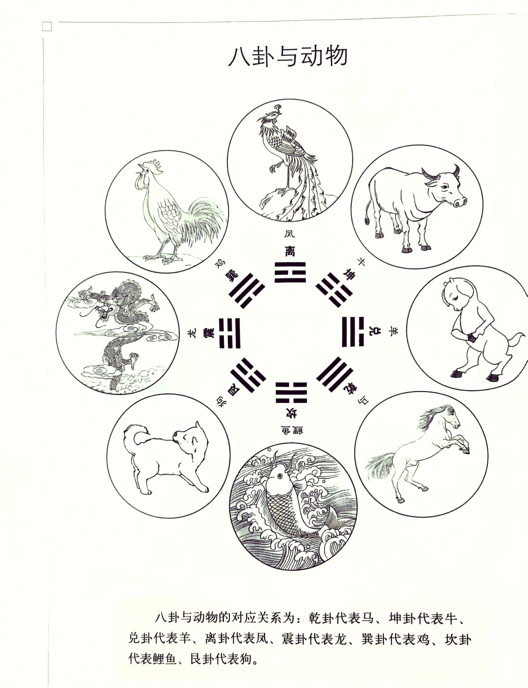 12生肖八卦图