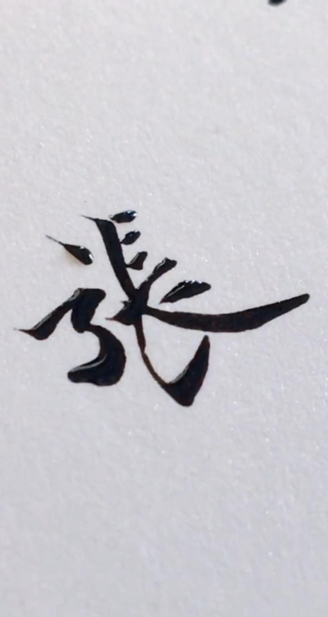 百家姓有张这个姓吗怎么读