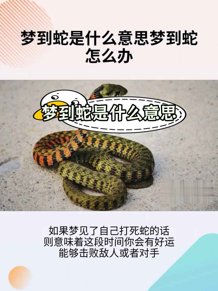 周公解梦梦到蛇缠身