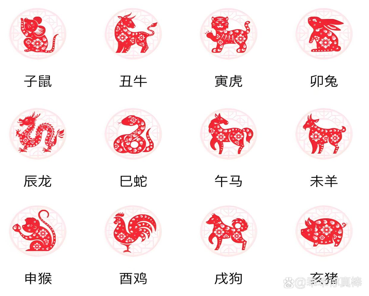 属相如何