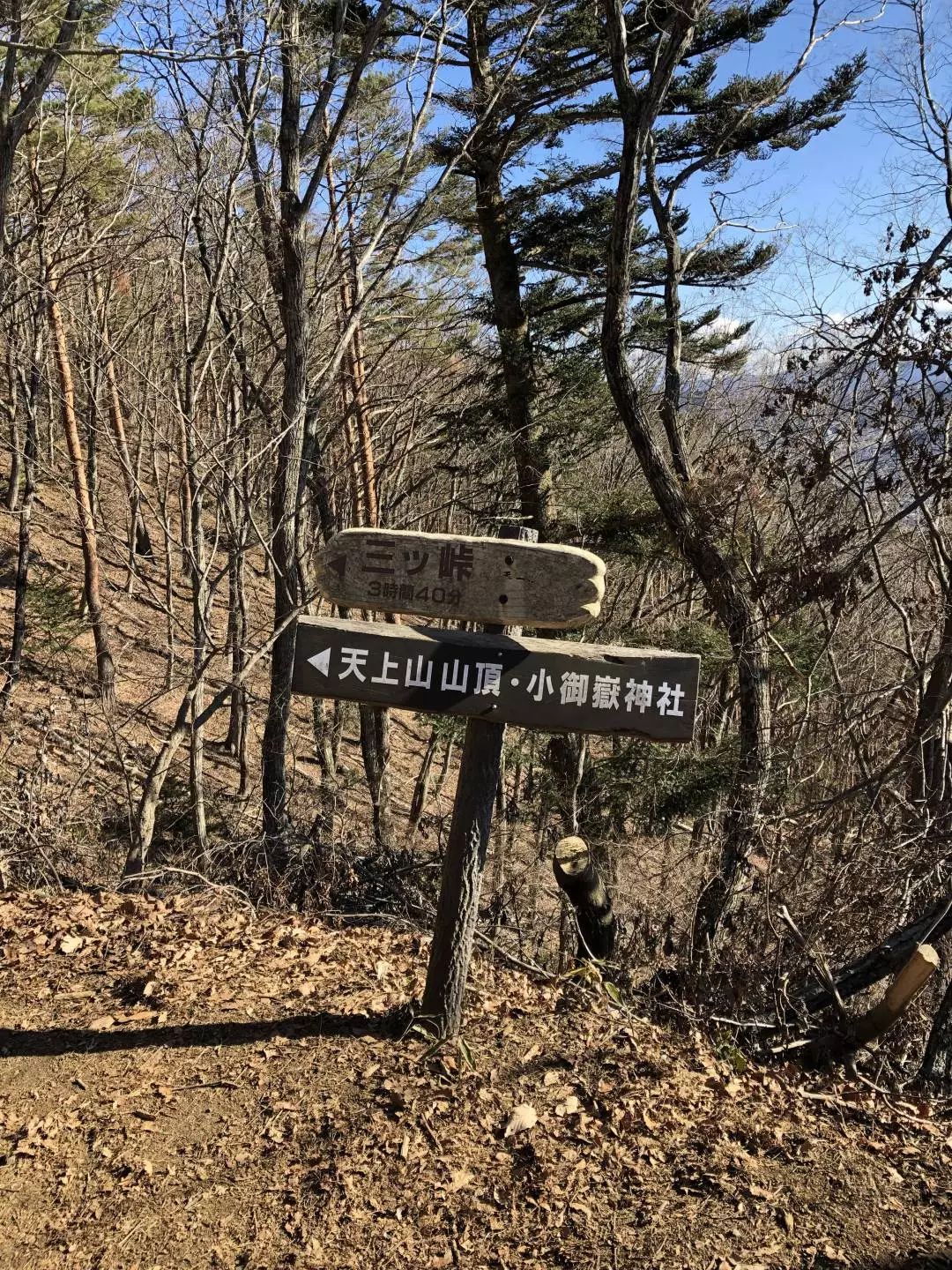 包含周公解梦原文完整版梦见上山割草的词条 包含周公解梦原文完整版梦见上山割草的词条