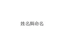 明年姓名要求