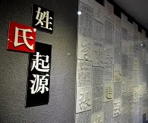 思辰取名的大忌