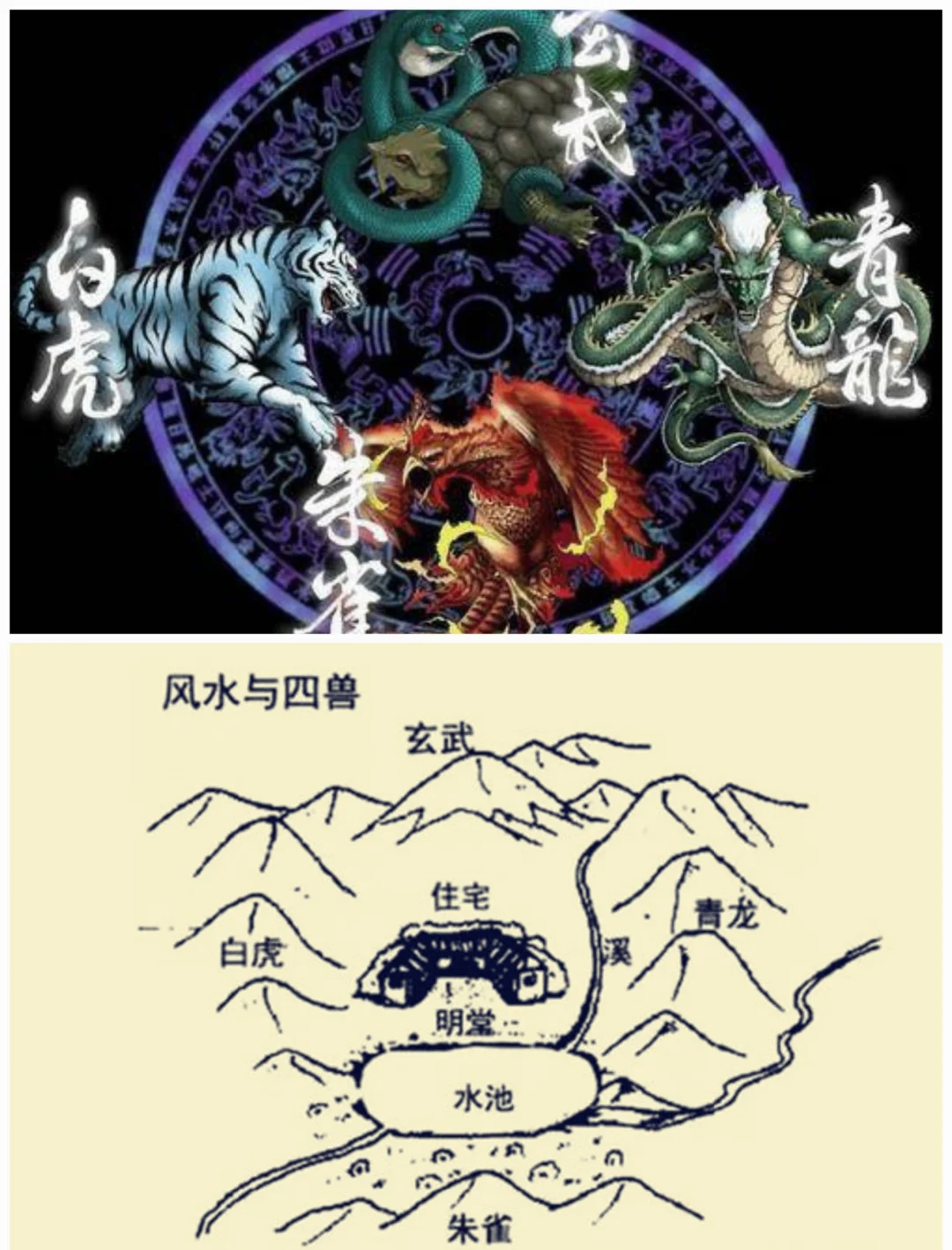 风水玄学短剧免费观看全集