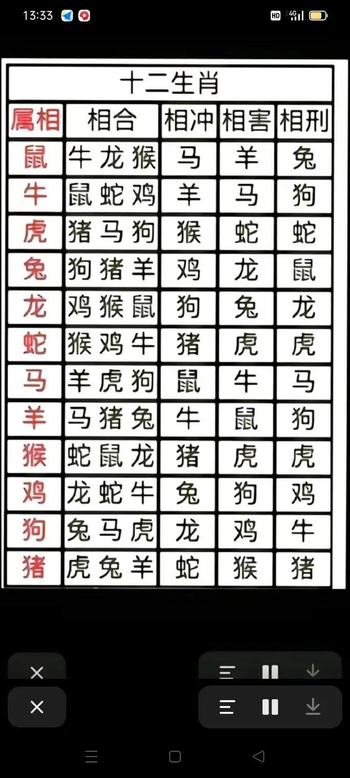今年生肖指南 今年生肖指南