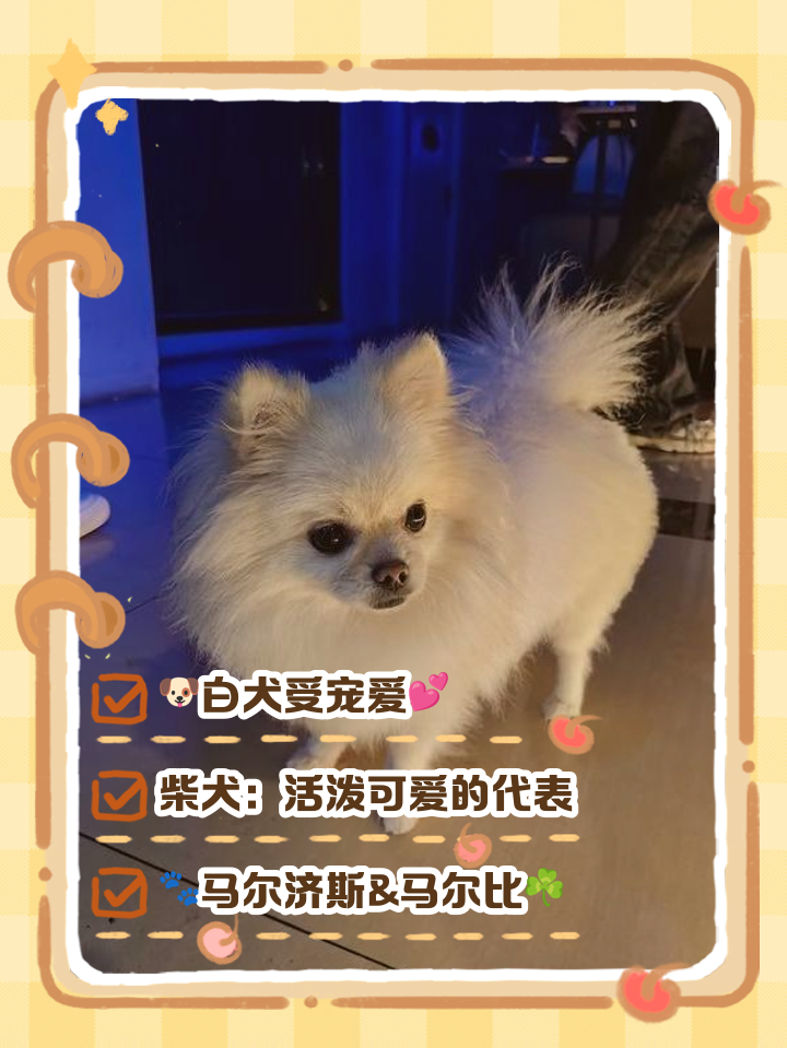 给宠物狗起名字 给宠物狗起名字