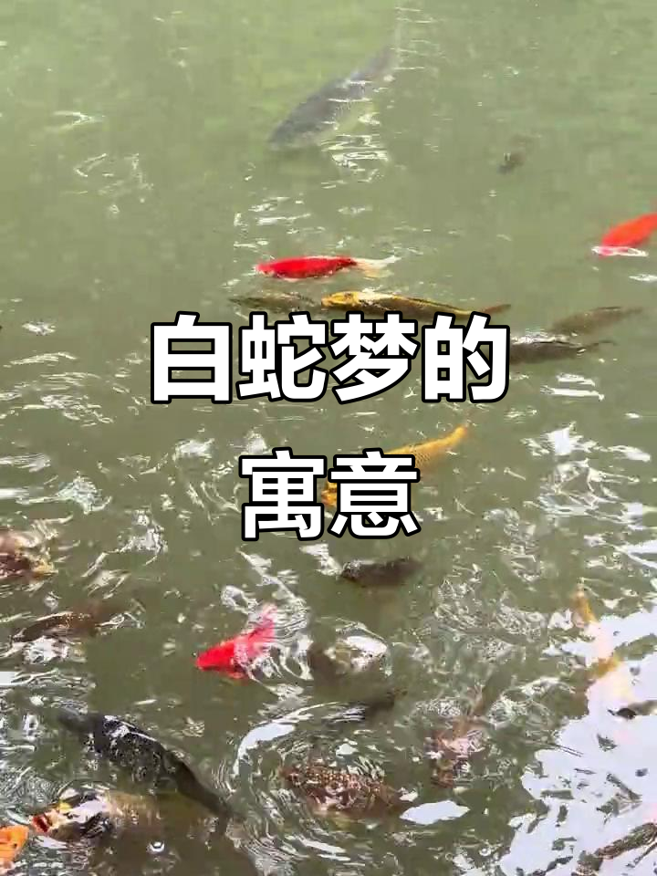 周公解梦蛇 周公解梦蛇
