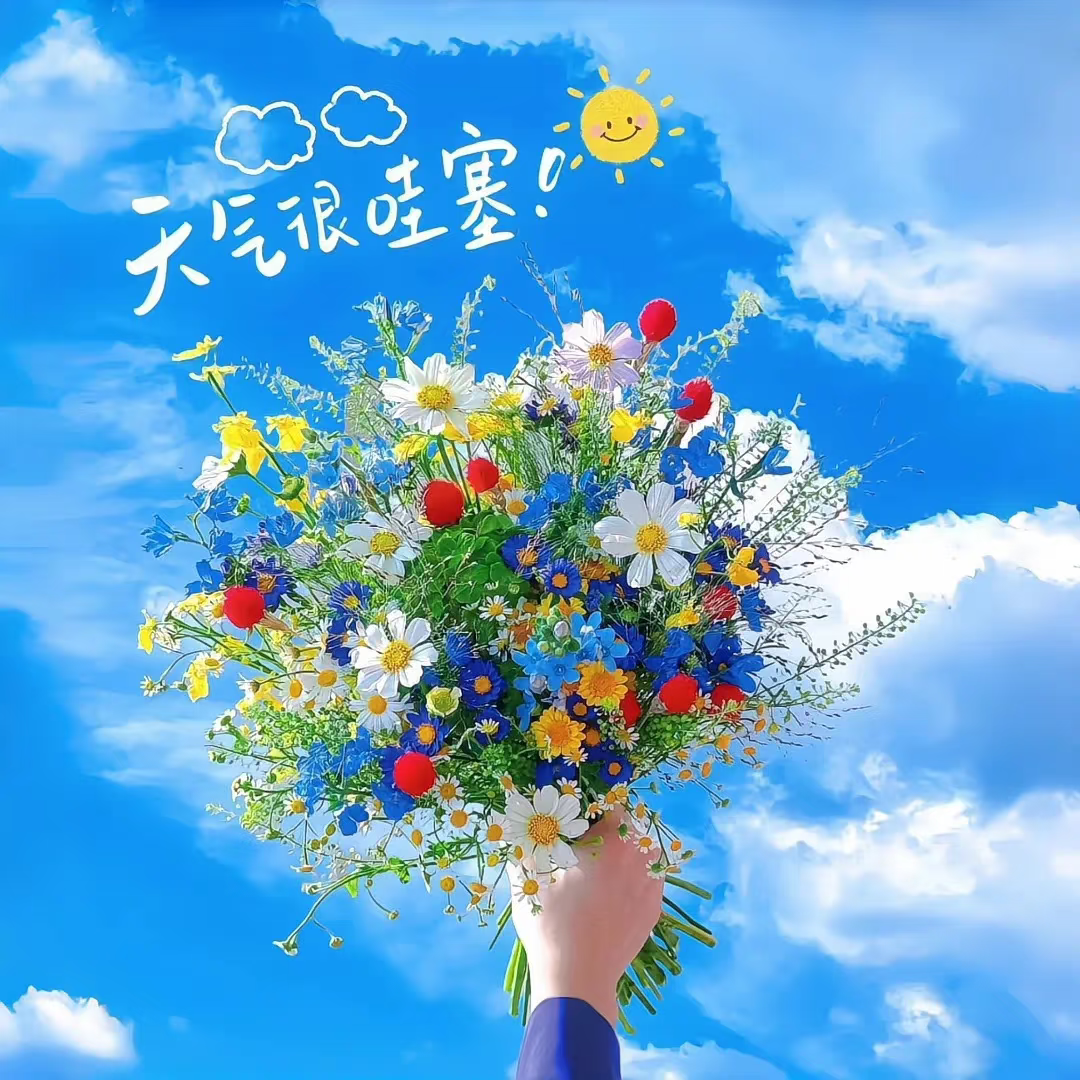 每日一签看财运