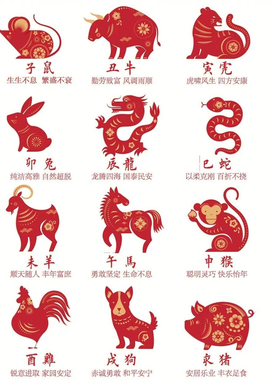 2024十二生肖指南 2024十二生肖指南
