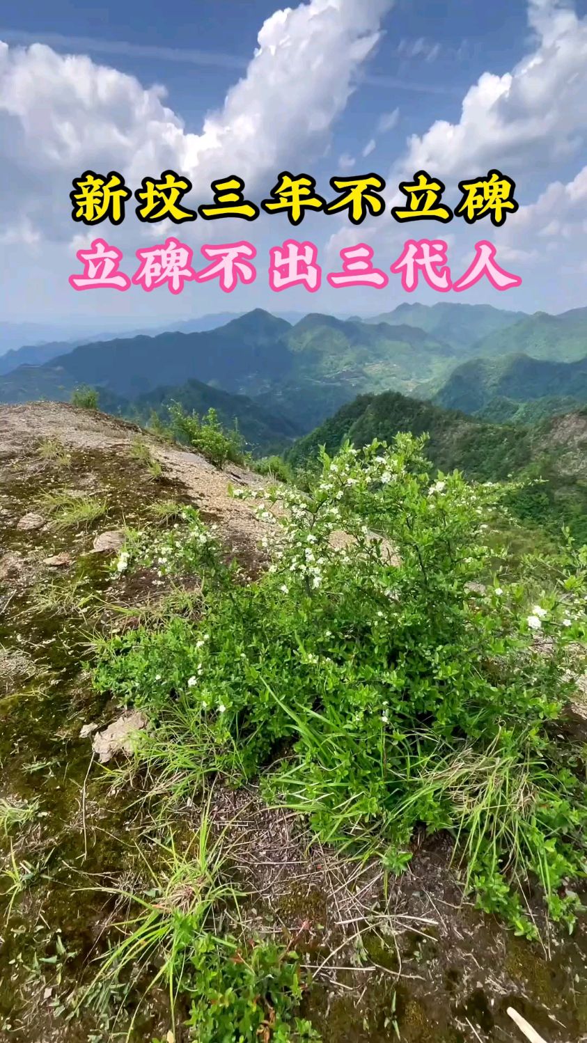 新坟三年看后人的预兆 新坟三年看后人的预兆
