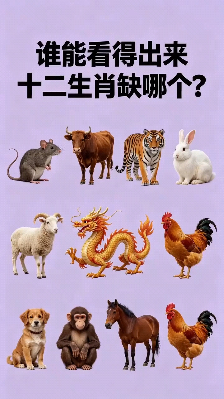 12生肖怎么排列顺序 12生肖怎么排列顺序