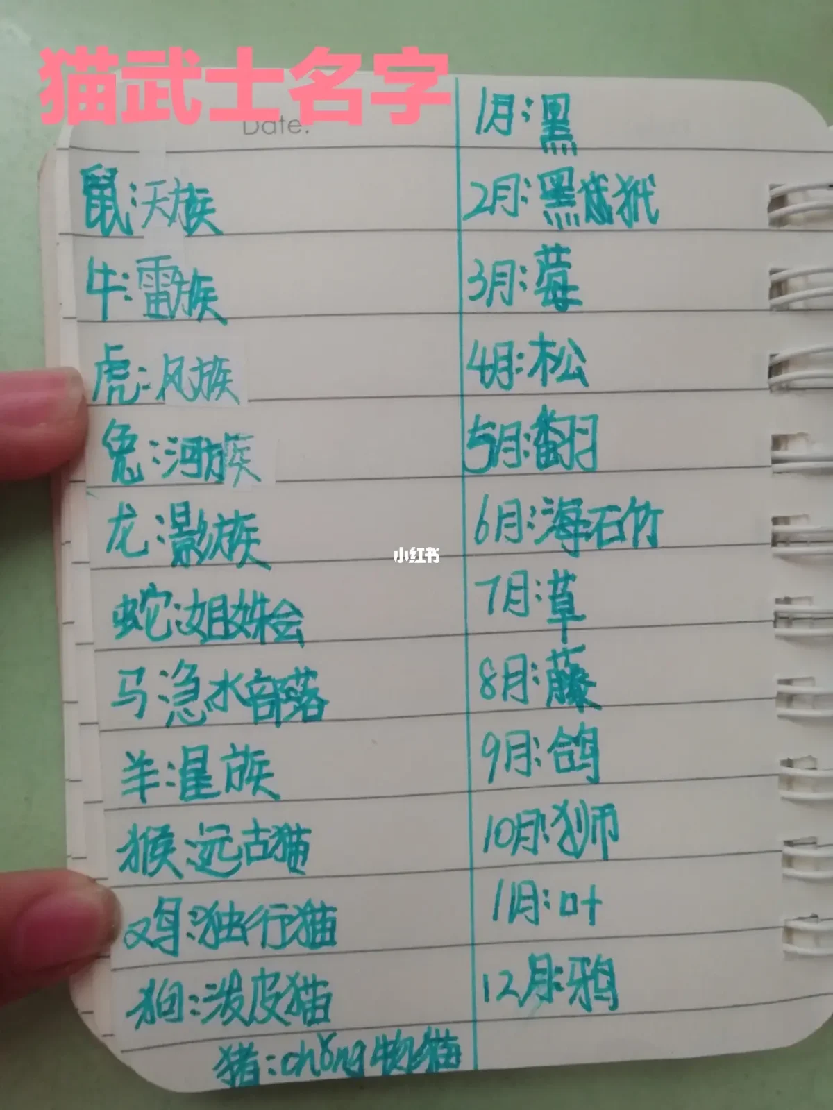 姓名测测我和他的结局