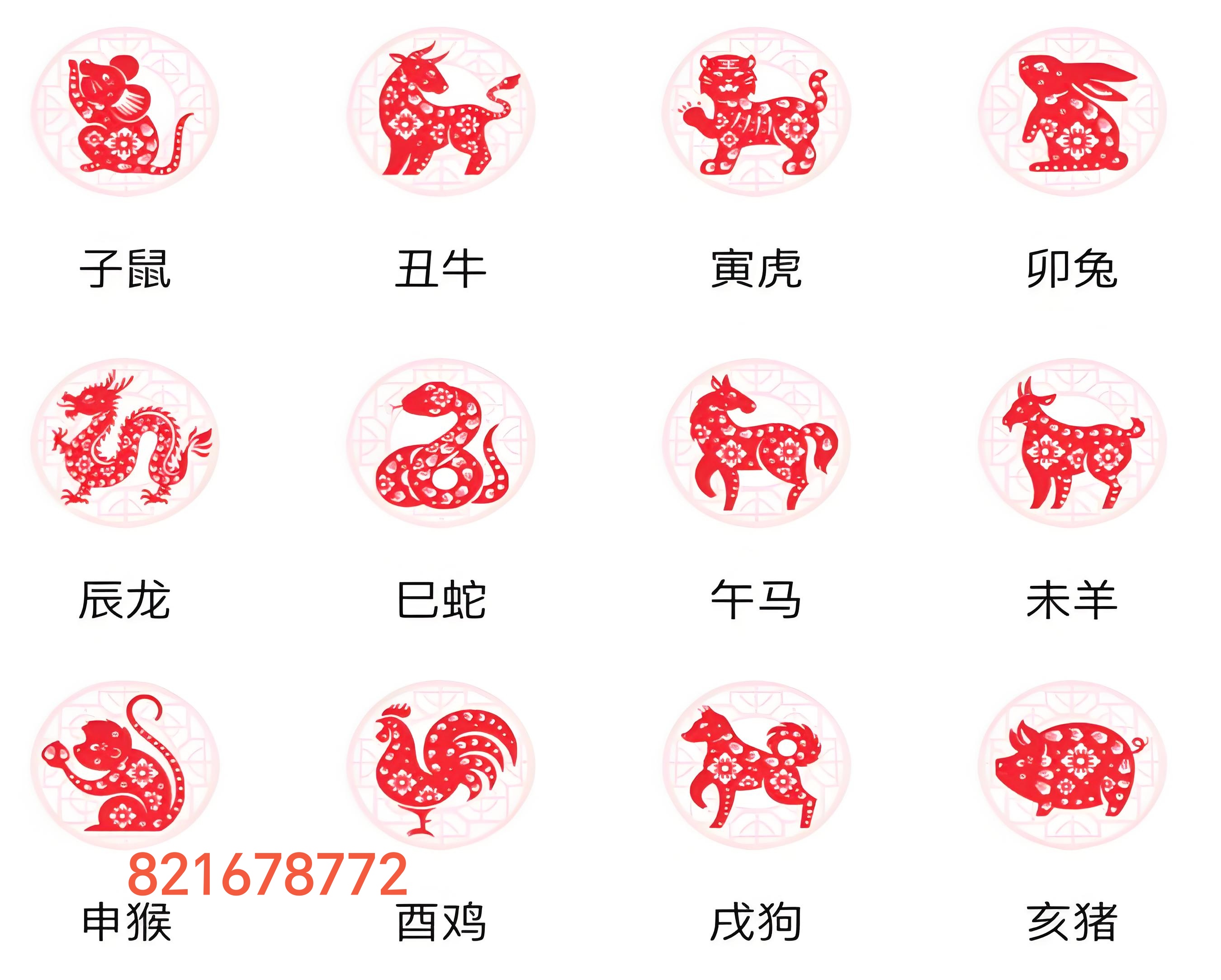 12属性相生相克的生肖