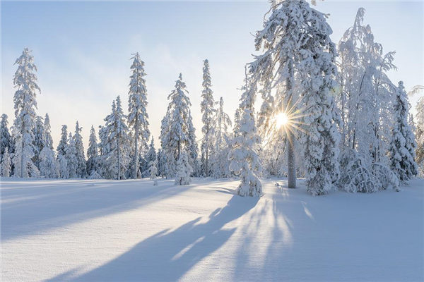 梦见下雪周公解梦大全查询 梦见下雪周公解梦大全查询
