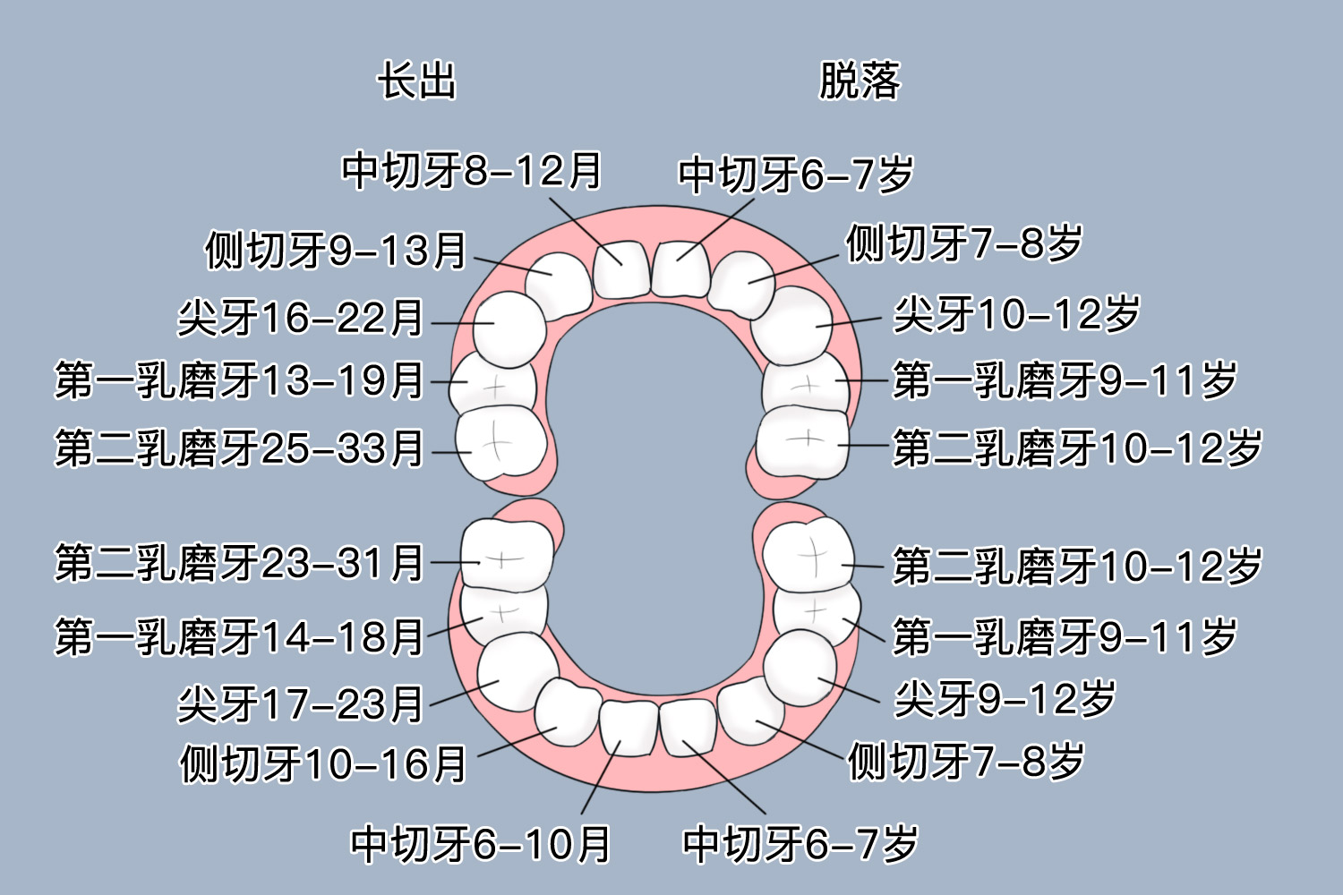 周公解梦掉牙详解