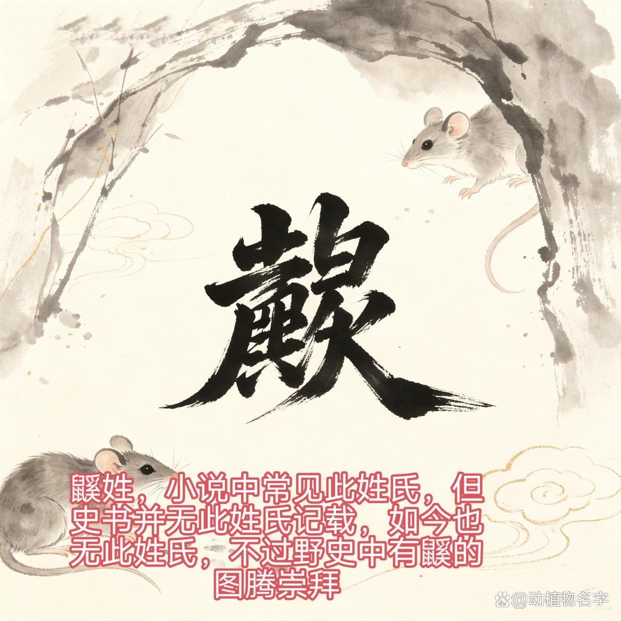 和动物同音的姓 和动物同音的姓