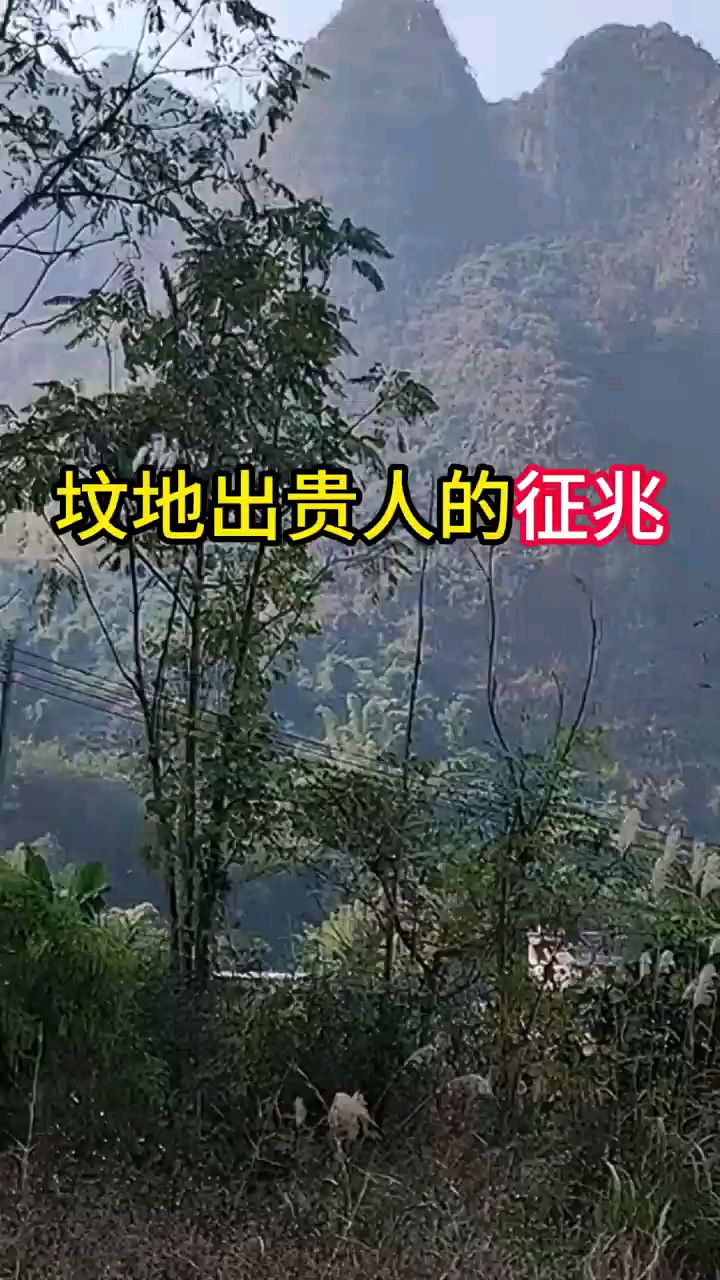 下葬后必看征兆