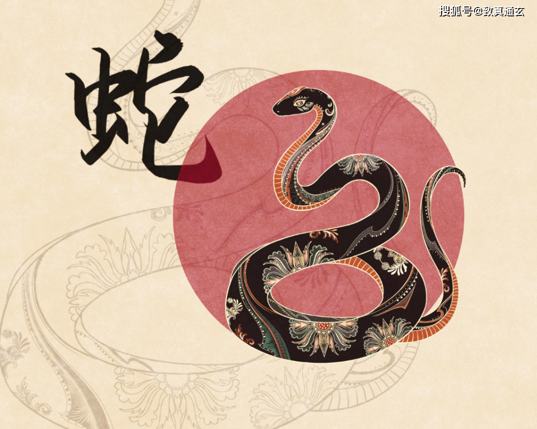 明年属相流程 明年属相流程