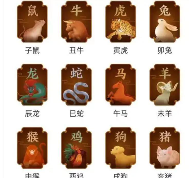 老年属相 老年属相