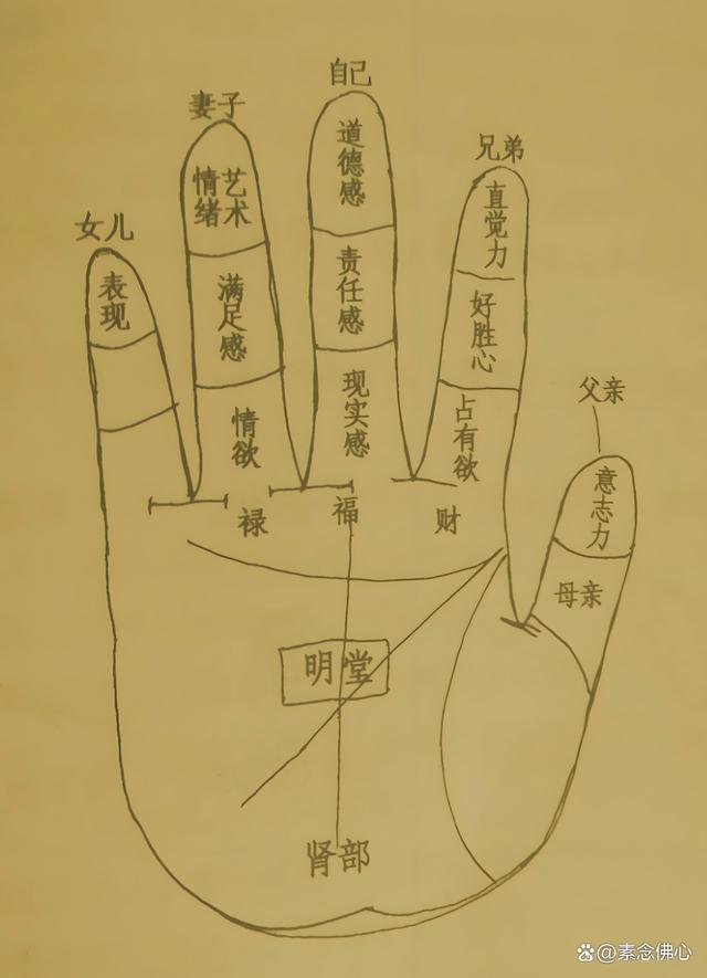 麻衣神相看相(麻衣神相看相秘诀)