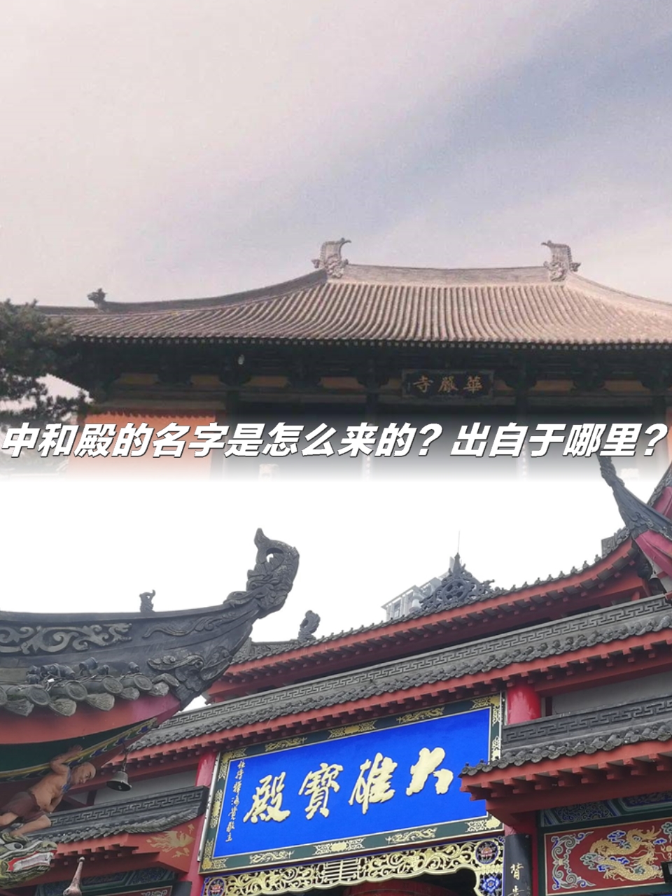 哪里可以姓名(哪里可以测名字)