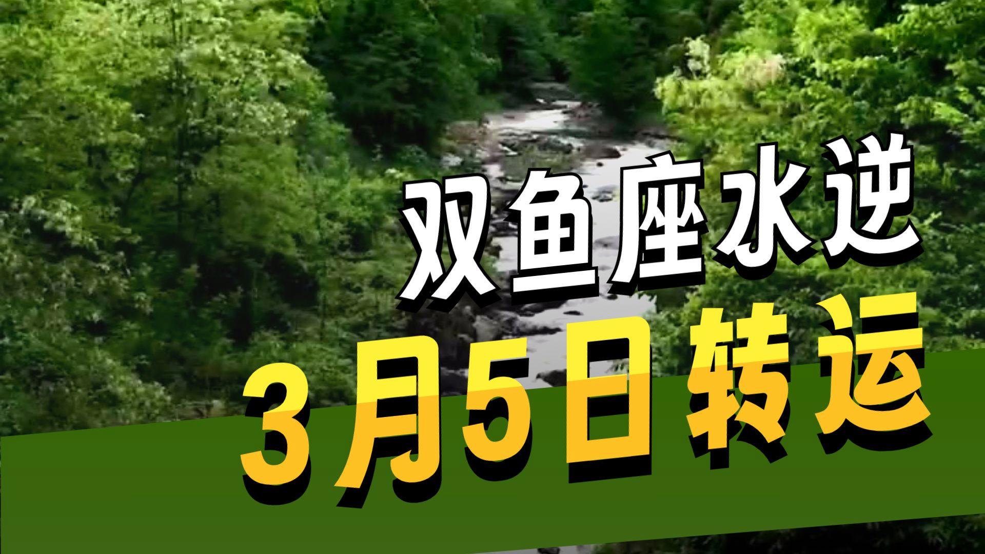 双鱼座星座运势分析男(双鱼座运势查询每日更新)