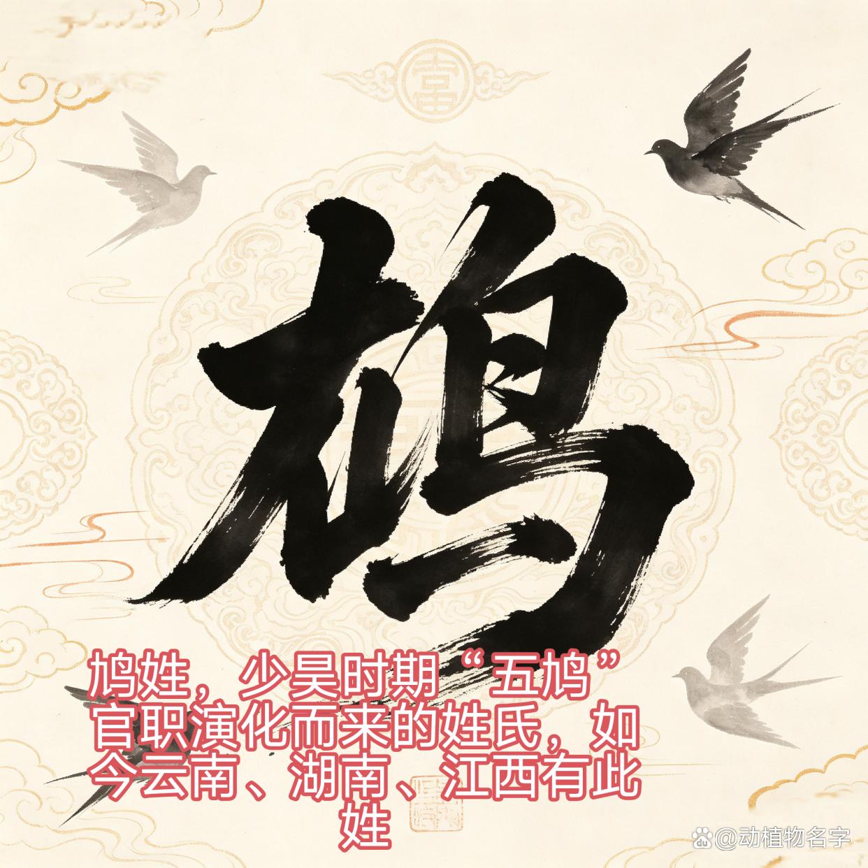 100种动物姓氏图片(100种动物名字和图片) 100种动物姓氏图片(100种动物名字和图片)