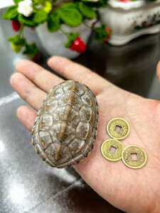 卜卦用什么铜钱(卜卦用什么铜钱好)