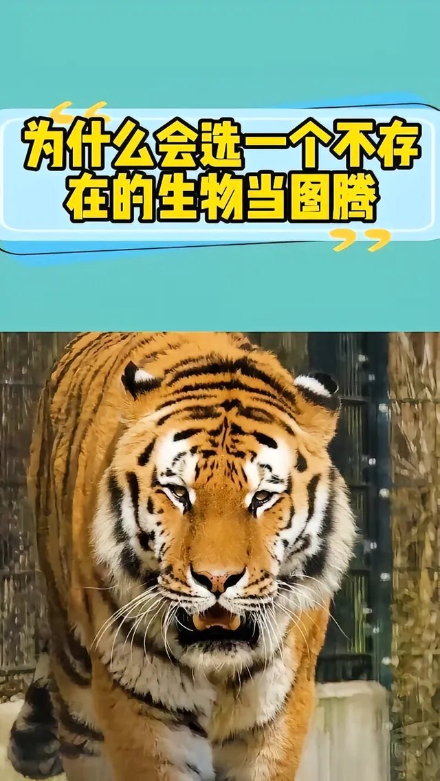 平台生肖真的吗(十二生肖哪个生肖平台最旺)