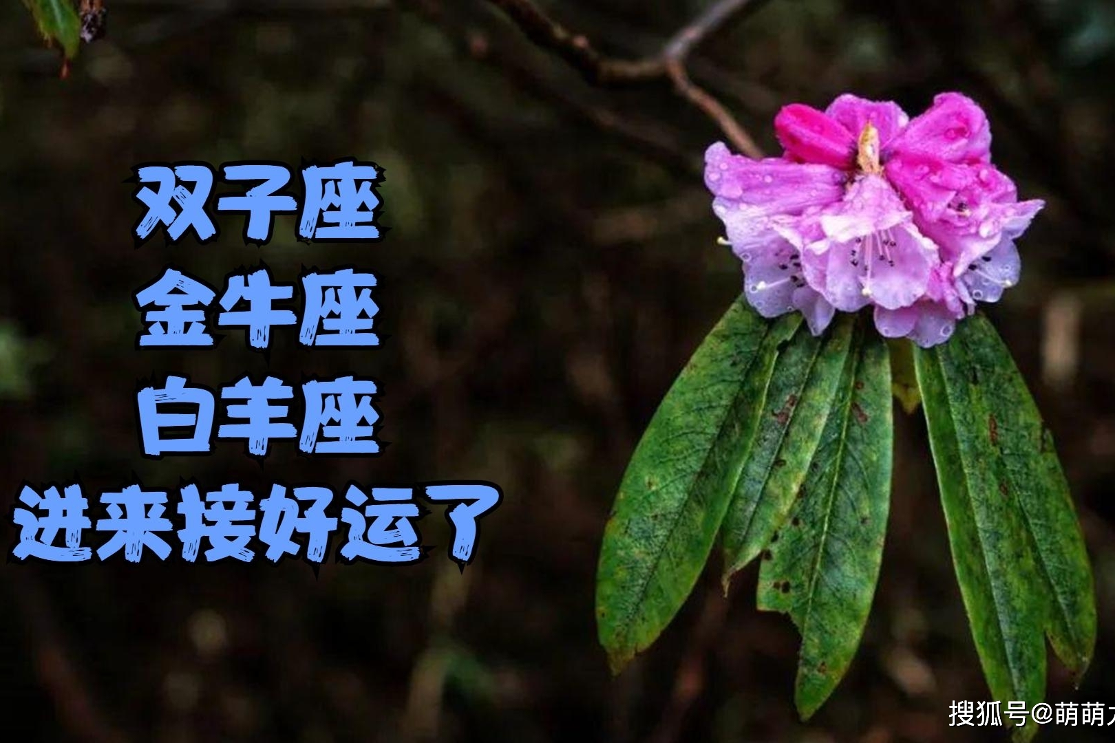 靠谱运势价格(运势这个东西可信么) 靠谱运势价格(运势这个东西可信么)