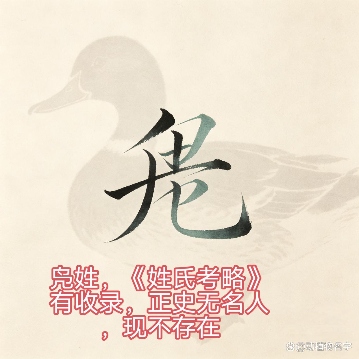 动物姓氏的由来(动物姓氏的由来和历史) 动物姓氏的由来(动物姓氏的由来和历史)