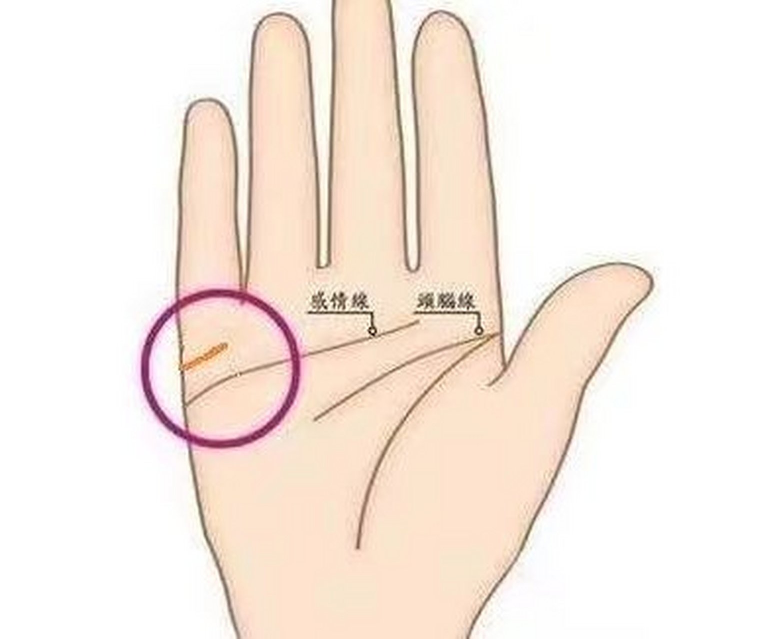 运程婚姻(婚姻运势免费测测)