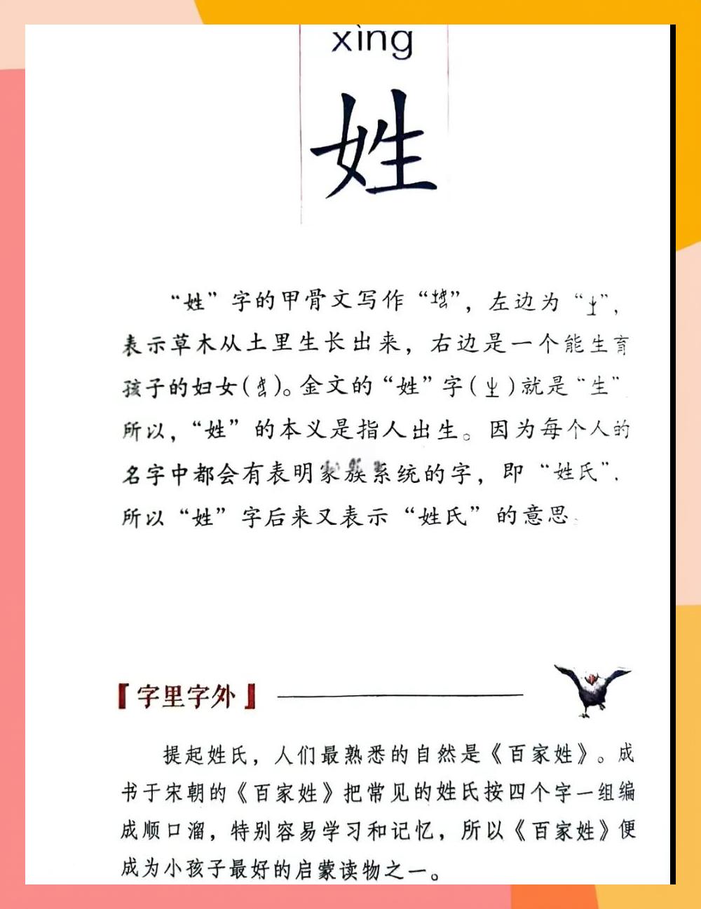 什么是姓氏(什么是姓氏反向文字)