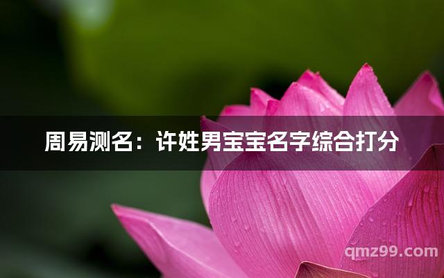 公司起名打分测试100分免费打分(公司起名打分测试100分免费打分1518)