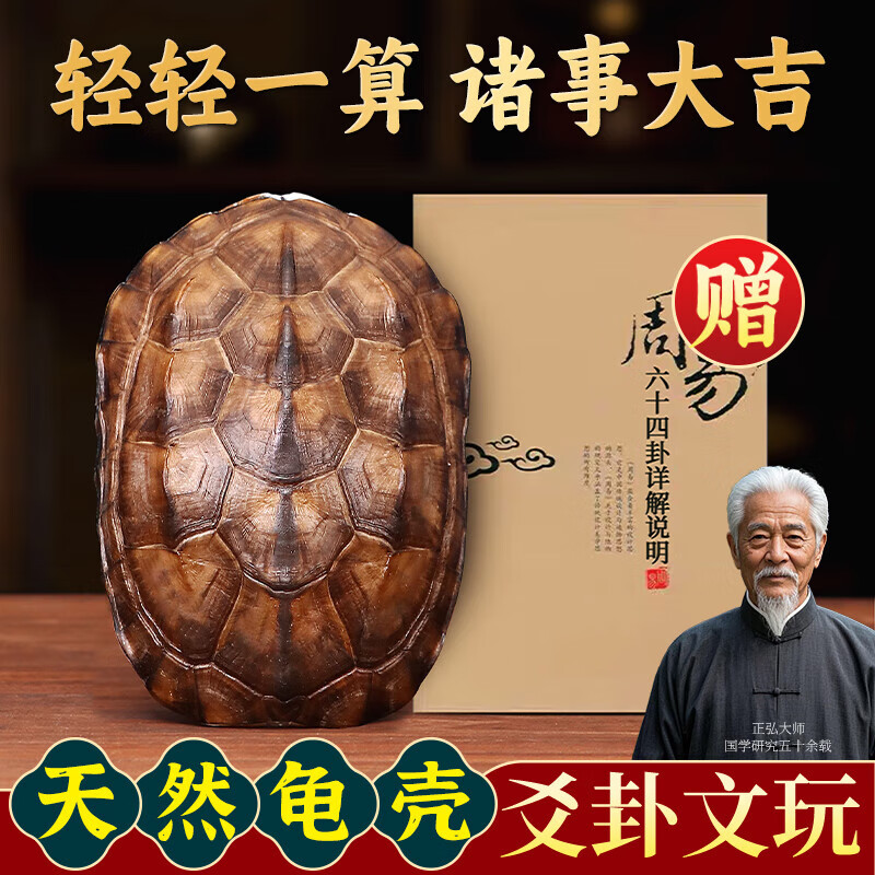 包含六爻占卜龟壳每日一占教程的词条