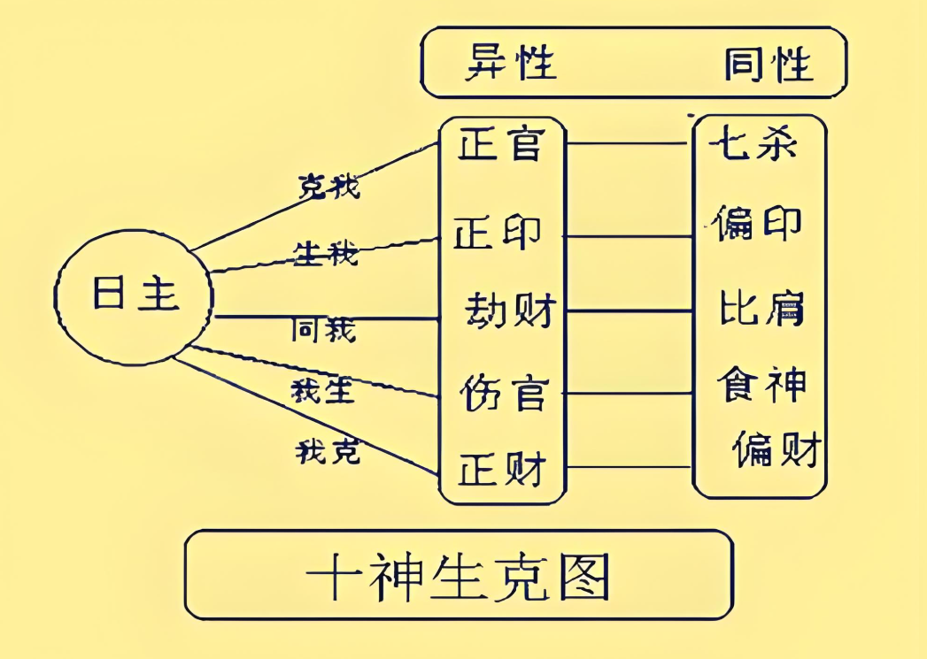 八字命理的十神是什么(八字命理的十神是什么意思)
