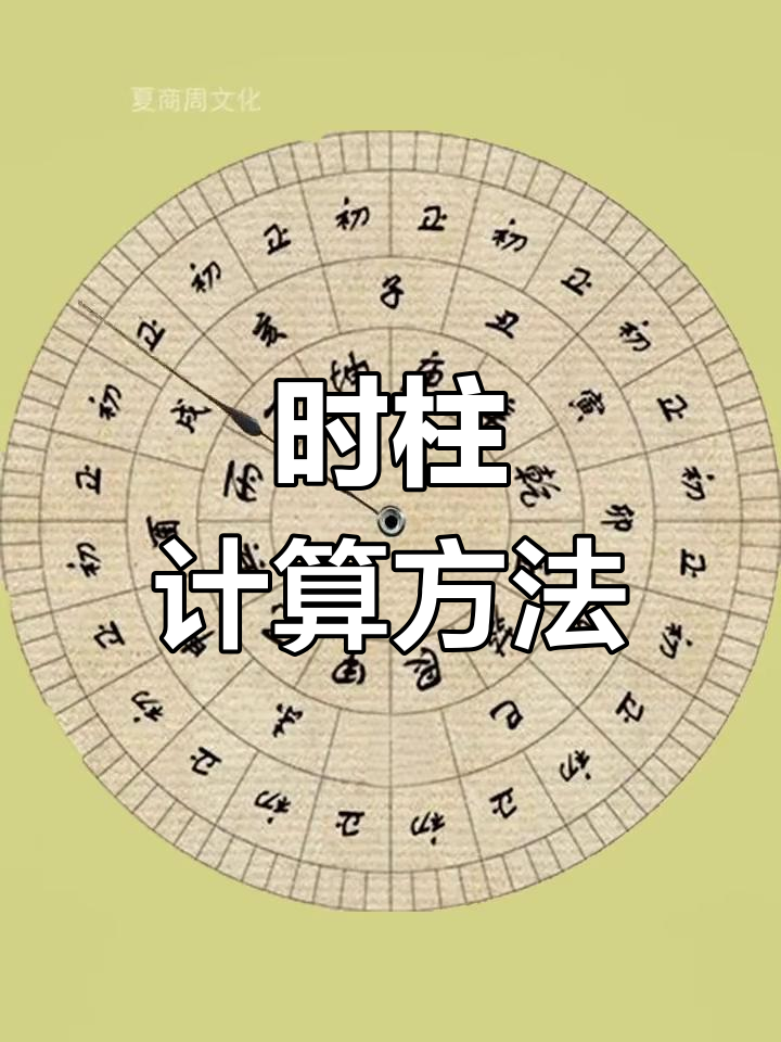 辛亥己亥壬寅甲辰时柱是什么命(辛亥己亥辛丑庚寅八字成什么格局么)