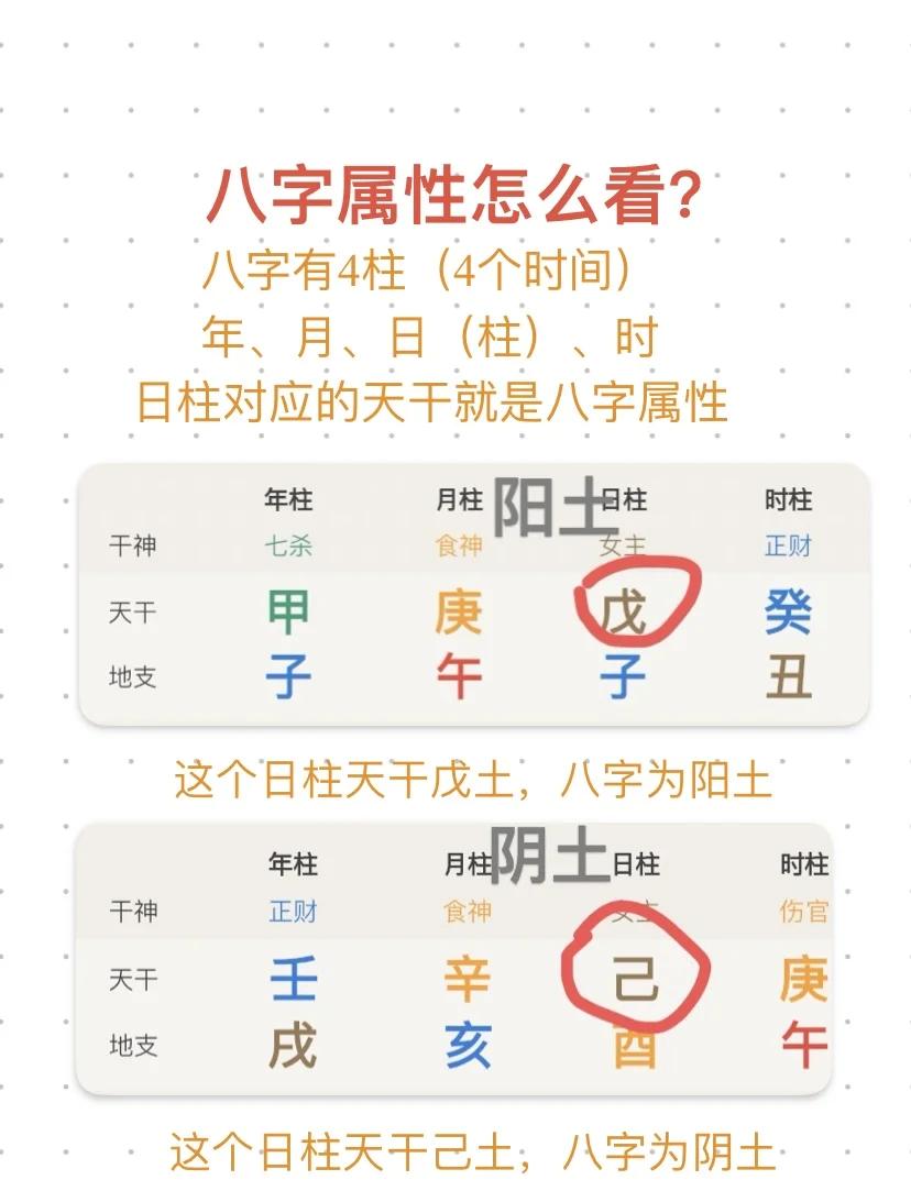 八字排盘宝免费查询(免费查自己的生辰八字)