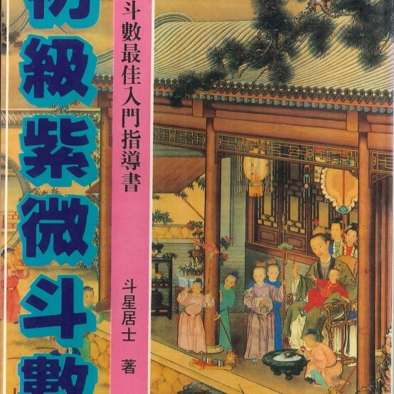 紫微斗数批八字(紫微斗数批八字AI效果)