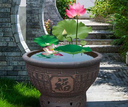 大门囗放水缸风水好吗(大门囗放水缸风水好吗视频)