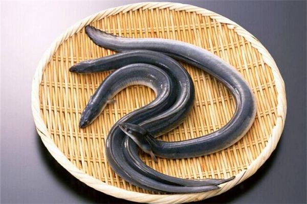 梦见摘丝瓜周公解梦破解大全(周公解梦大全查询2345原版免费梦见自己摘丝瓜) 梦见摘丝瓜周公解梦破解大全(周公解梦大全查询2345原版免费梦见自己摘丝瓜)