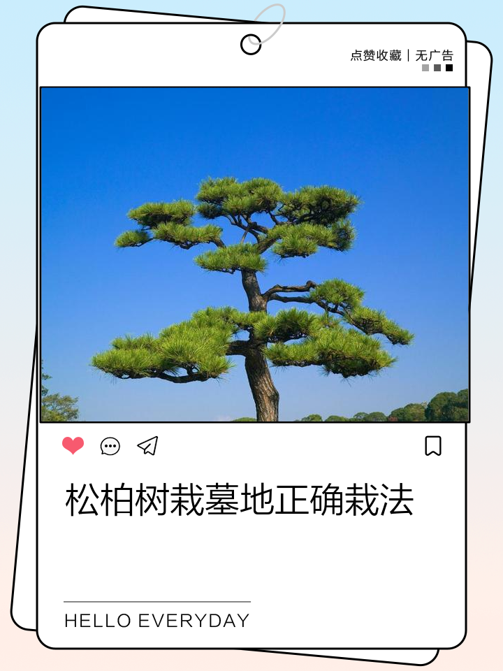 怎么选墓地(怎么选墓地朝向最旺)
